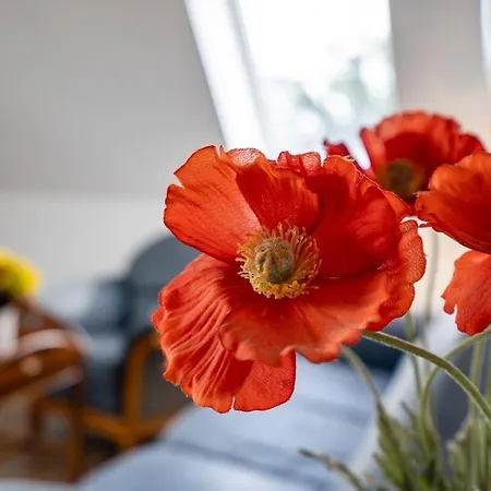 Uferpromenade-whg-1-oben *